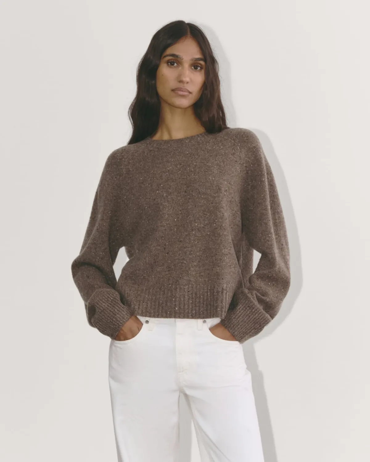 Everlane Sweaters|Crew Sweaters*The Boxy Crew in Cashmere