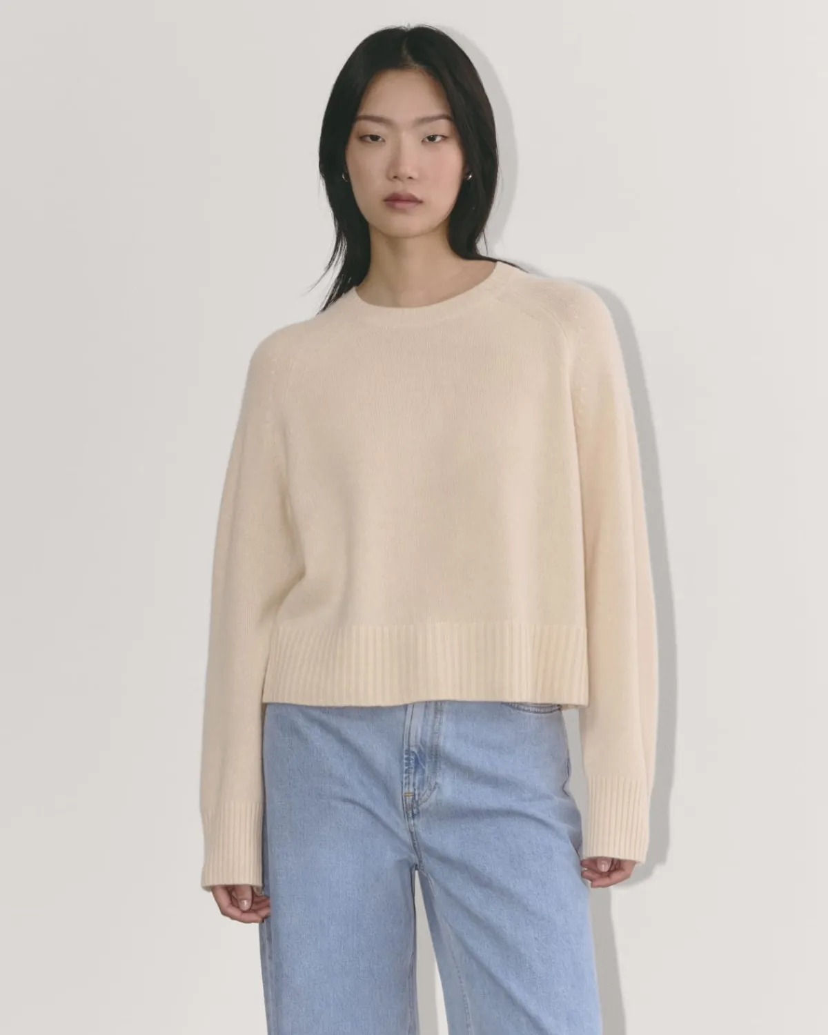 Everlane Sweaters|Crew Sweaters*The Boxy Crew in Cashmere