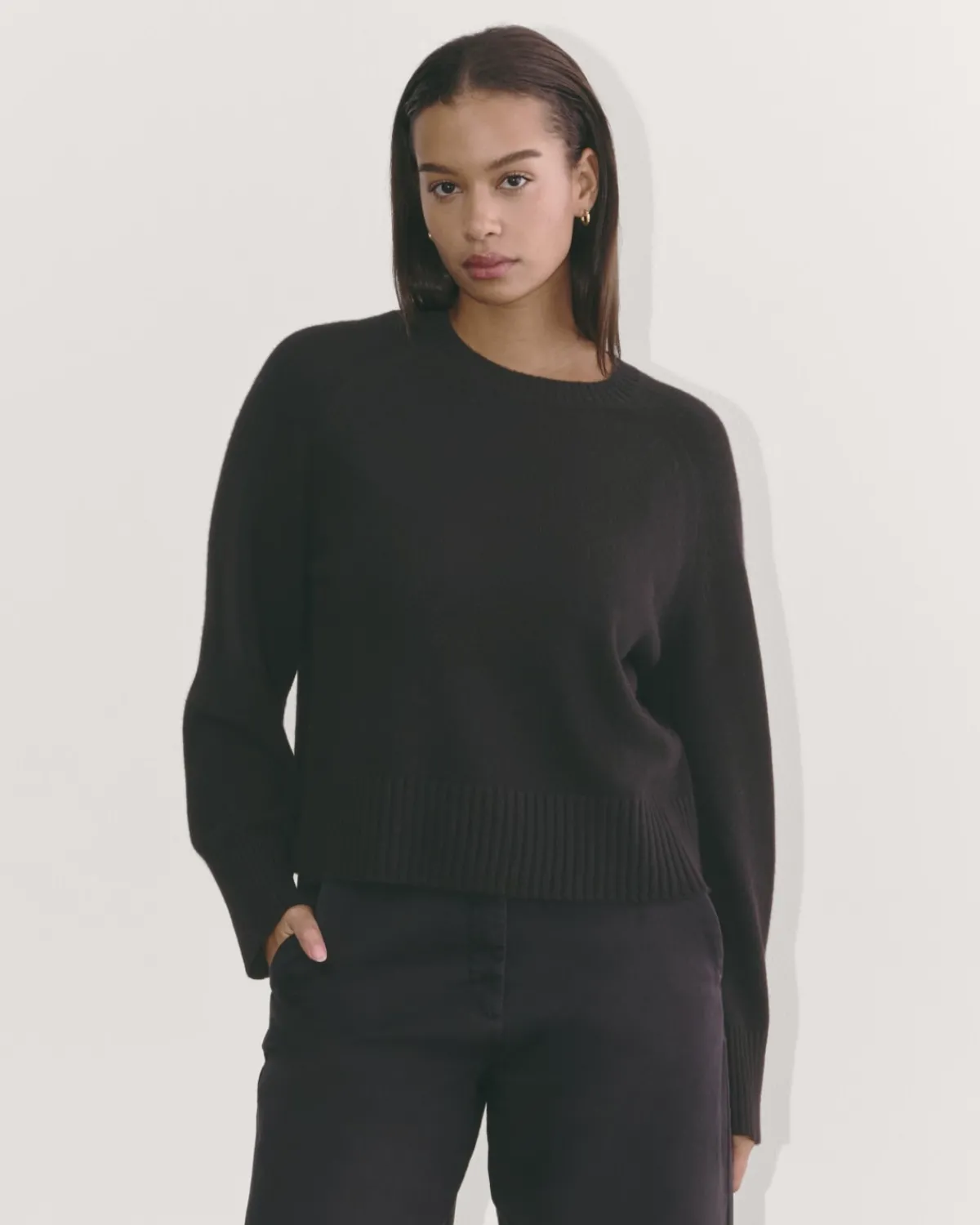 Everlane Sweaters|Crew Sweaters*The Boxy Crew in Cashmere