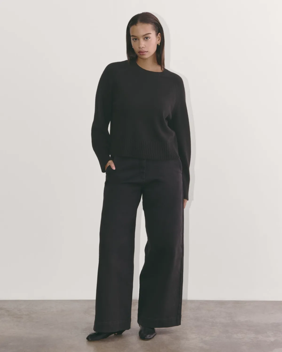Everlane Sweaters|Crew Sweaters*The Boxy Crew in Cashmere