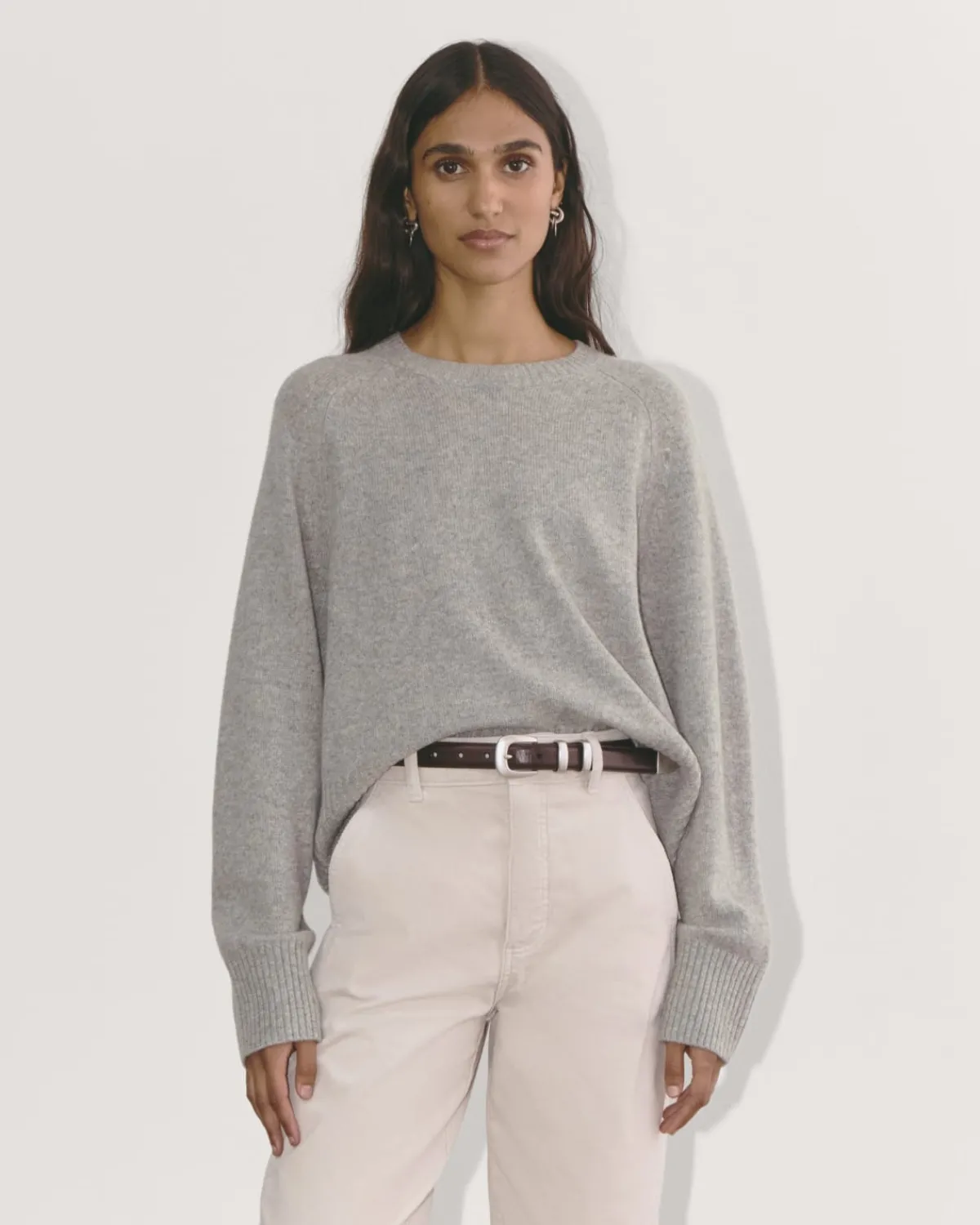 Everlane Sweaters|Crew Sweaters*The Boxy Crew in Cashmere
