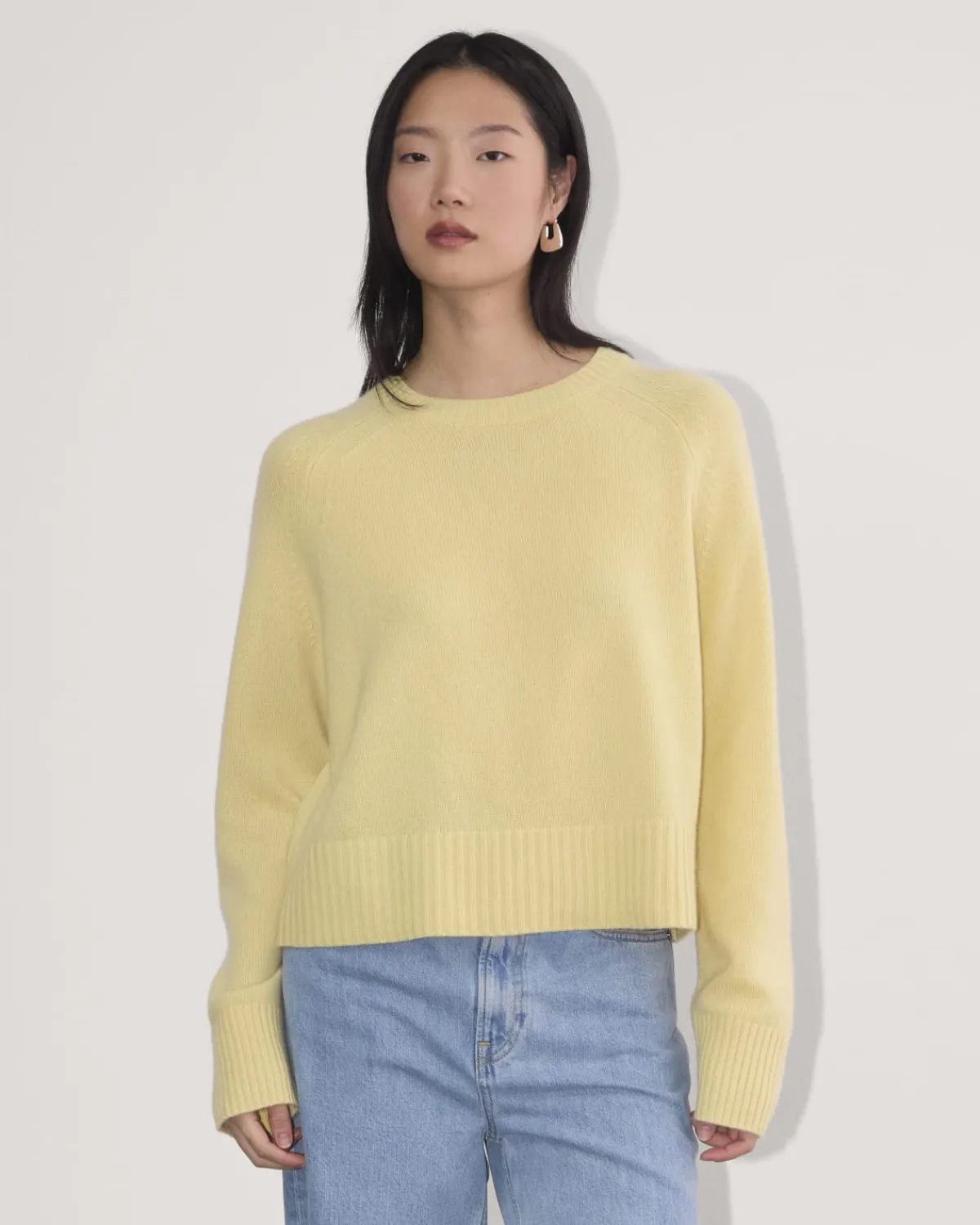 Everlane Sweaters|Crew Sweaters*The Boxy Crew in Cashmere
