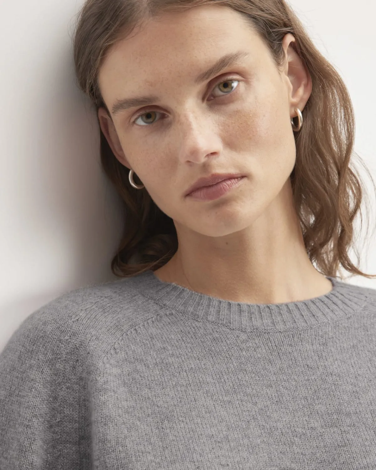 Everlane Sweaters|Crew Sweaters*The Boxy Crew in Cashmere