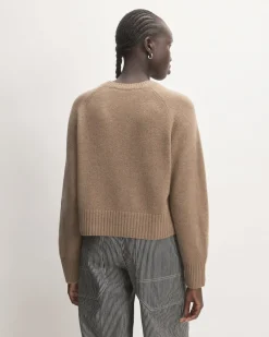 Everlane Sweaters|Crew Sweaters*The Boxy Crew in Cashmere
