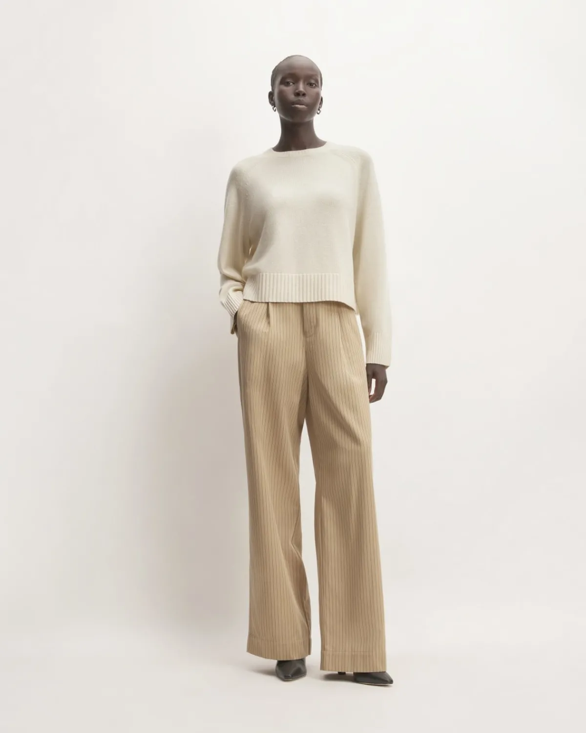 Everlane Sweaters|Crew Sweaters*The Boxy Crew in Cashmere
