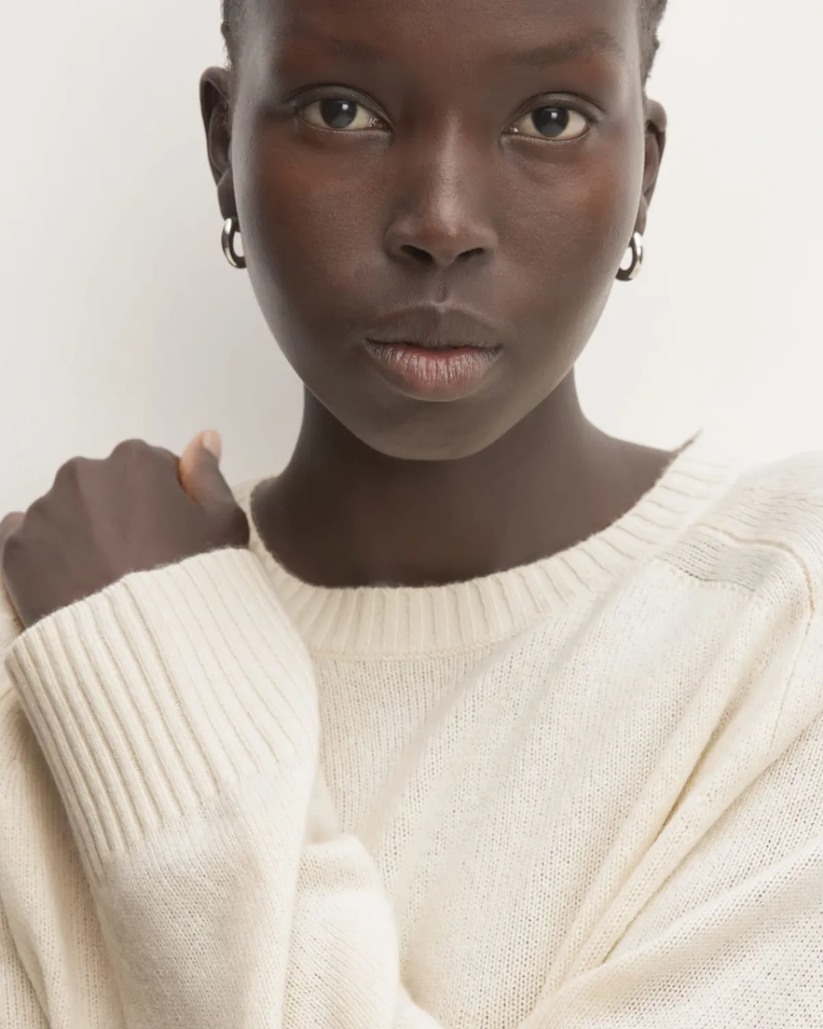 Everlane Sweaters|Crew Sweaters*The Boxy Crew in Cashmere