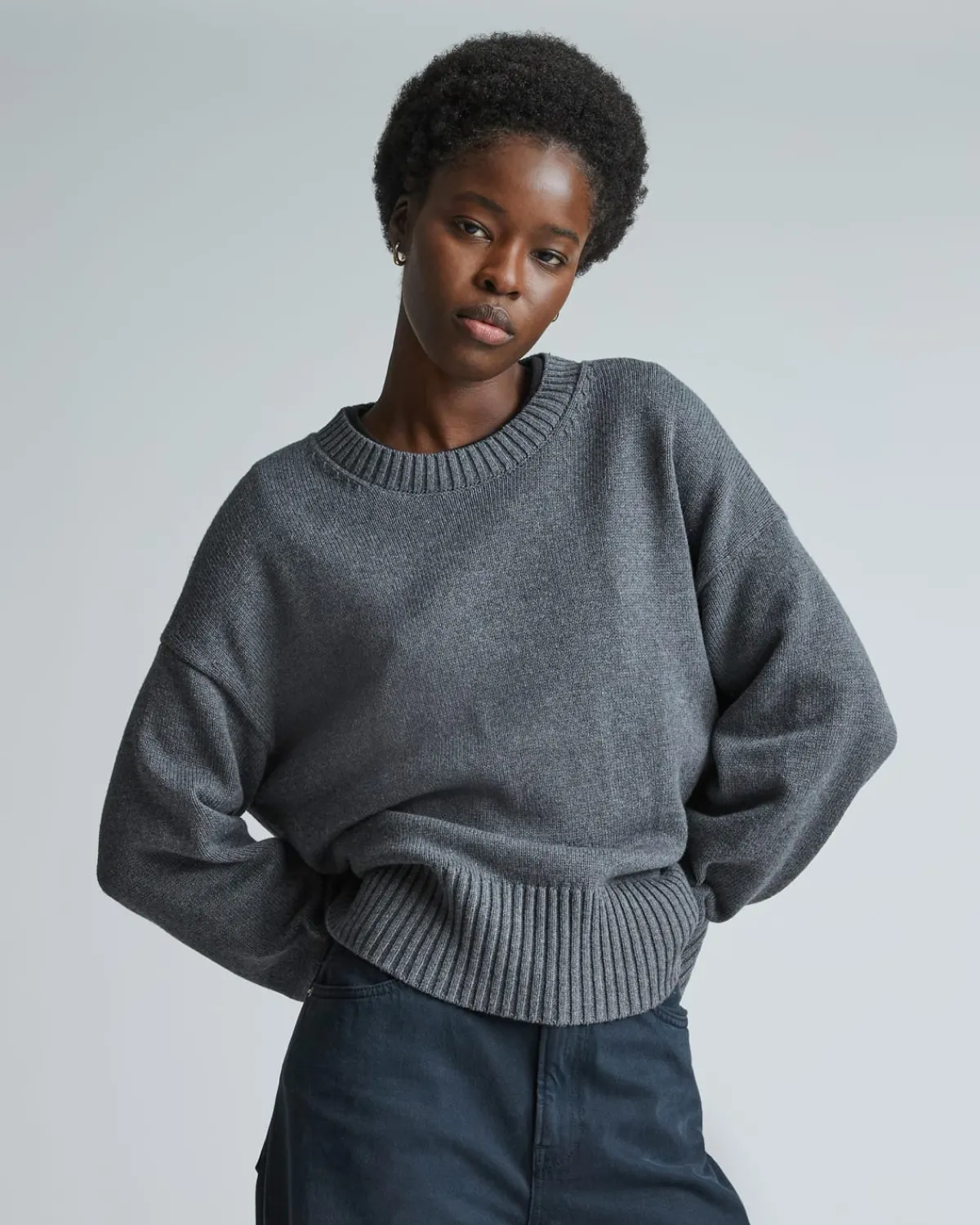 Everlane Sweaters|Crew Sweaters*The Boxy Sweater in Everyday Cotton
