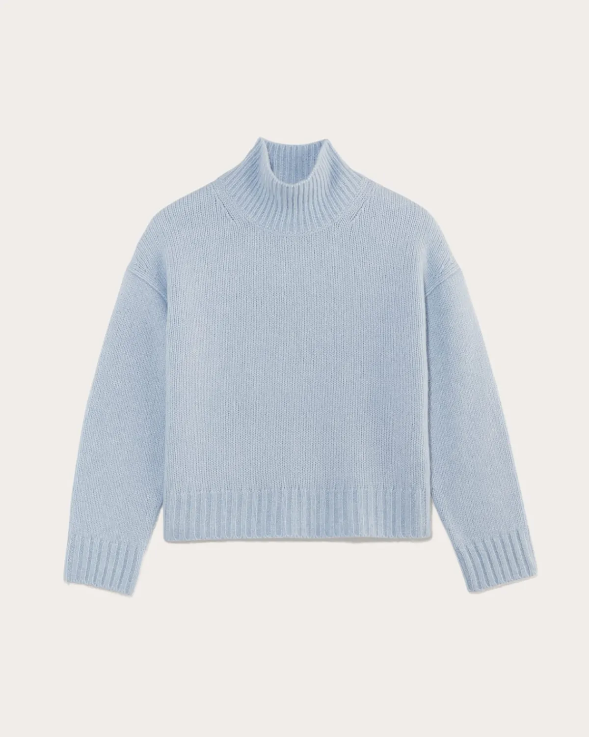 Everlane Sweaters|Turtleneck Sweaters*The Cloud Oversized Turtleneck Chambray Blue