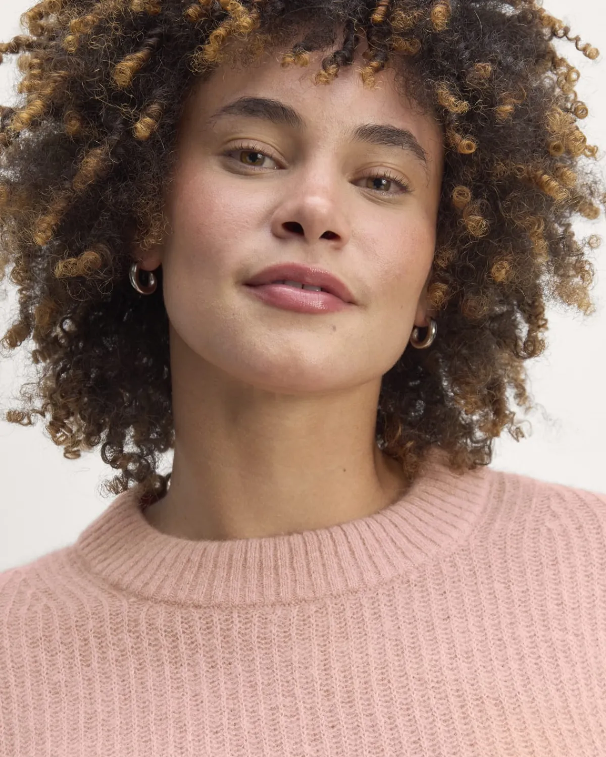 Everlane Sweaters|Crew Sweaters*The Cocoon Crew in Alpaca