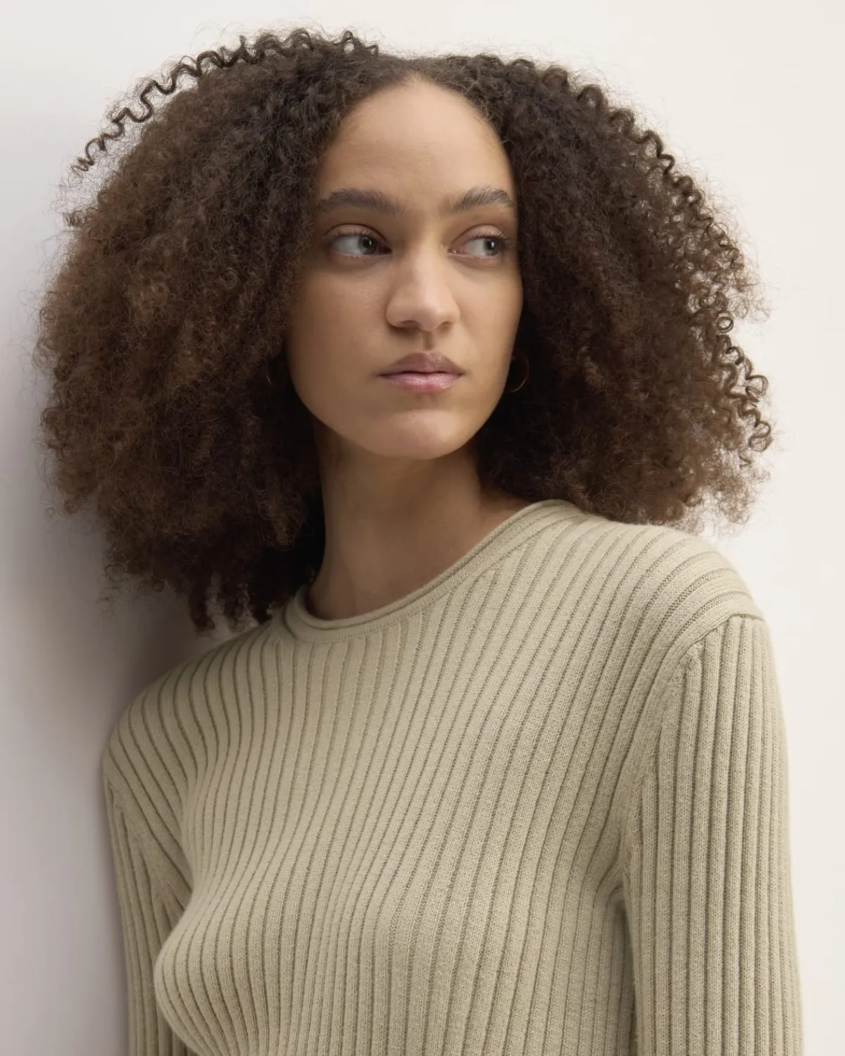 Everlane Sweaters|Crew Sweaters*The Cotton Rib Crew Trench Coat Khaki