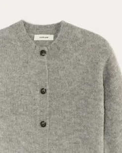 Everlane Sweaters|Crew Sweaters*The Crew Cardigan in Alpaca