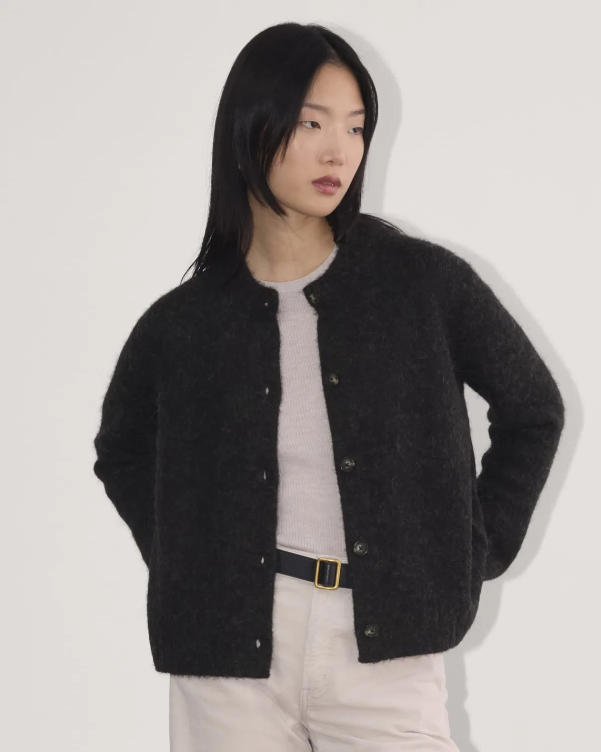 Everlane Sweaters|Crew Sweaters*The Crew Cardigan in Alpaca
