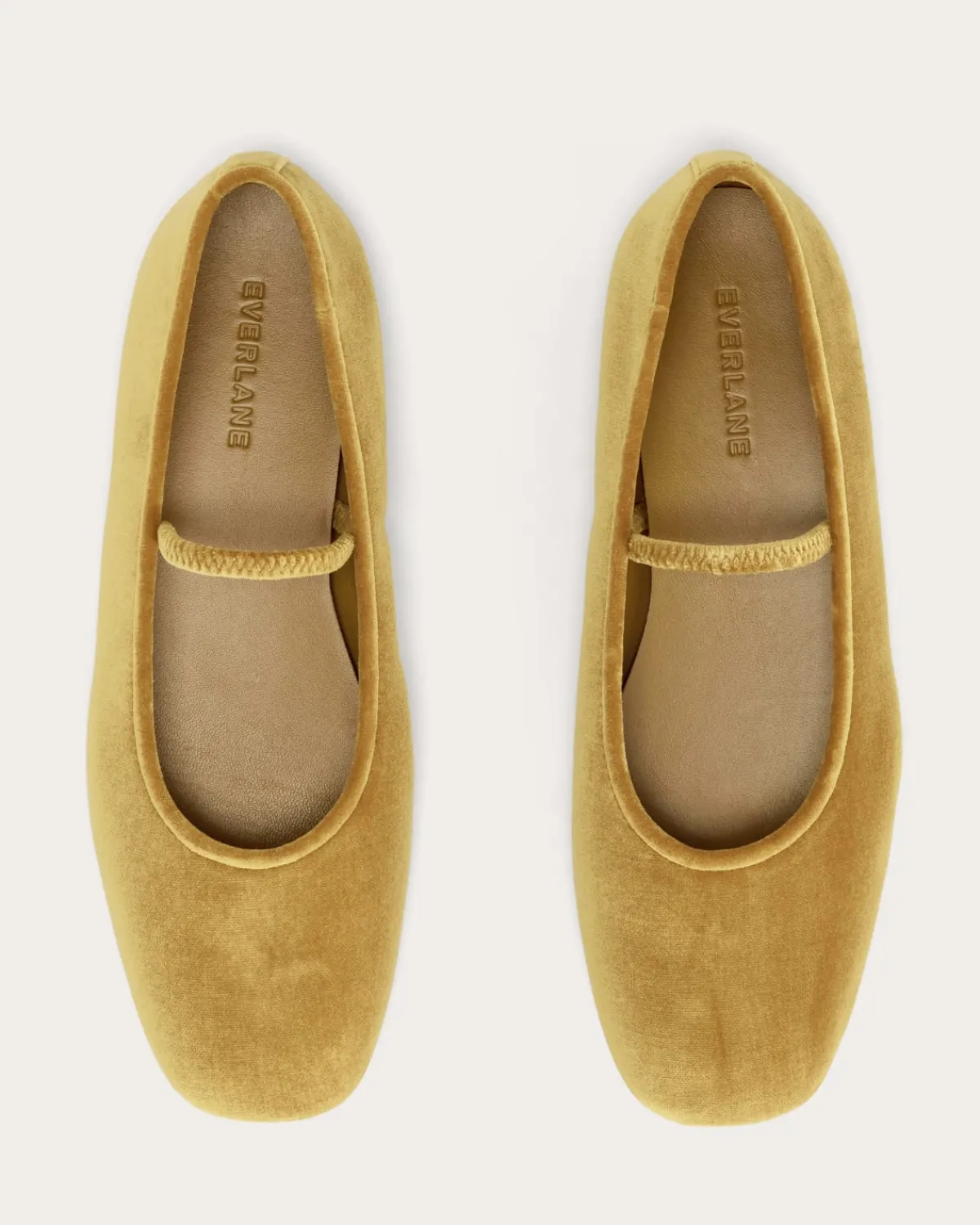 Everlane Shoes|Ballet Flats*The Day Mary Jane