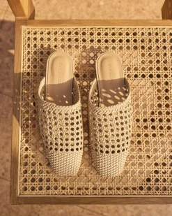 Everlane Shoes|Ballet Flats*The Day Mule