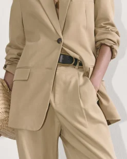 Everlane Pants|Wide-Leg Pants*The Draper Pleated Pant in Buttersmooth
