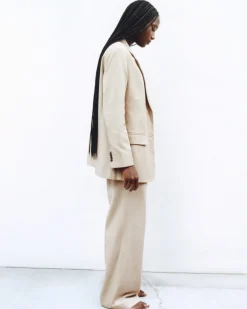 Everlane Pants|Wide-Leg Pants*The Draper Pleated Pant in Buttersmooth