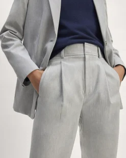Everlane Pants|Wide-Leg Pants*The Draper Pleated Pant in Buttersmooth