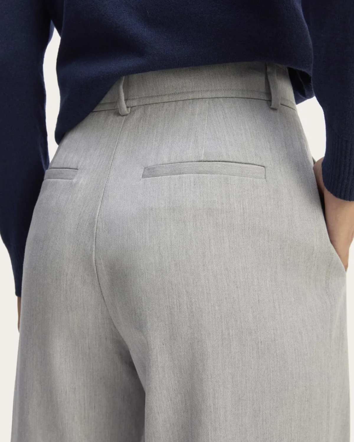 Everlane Pants|Wide-Leg Pants*The Draper Pleated Pant in Buttersmooth