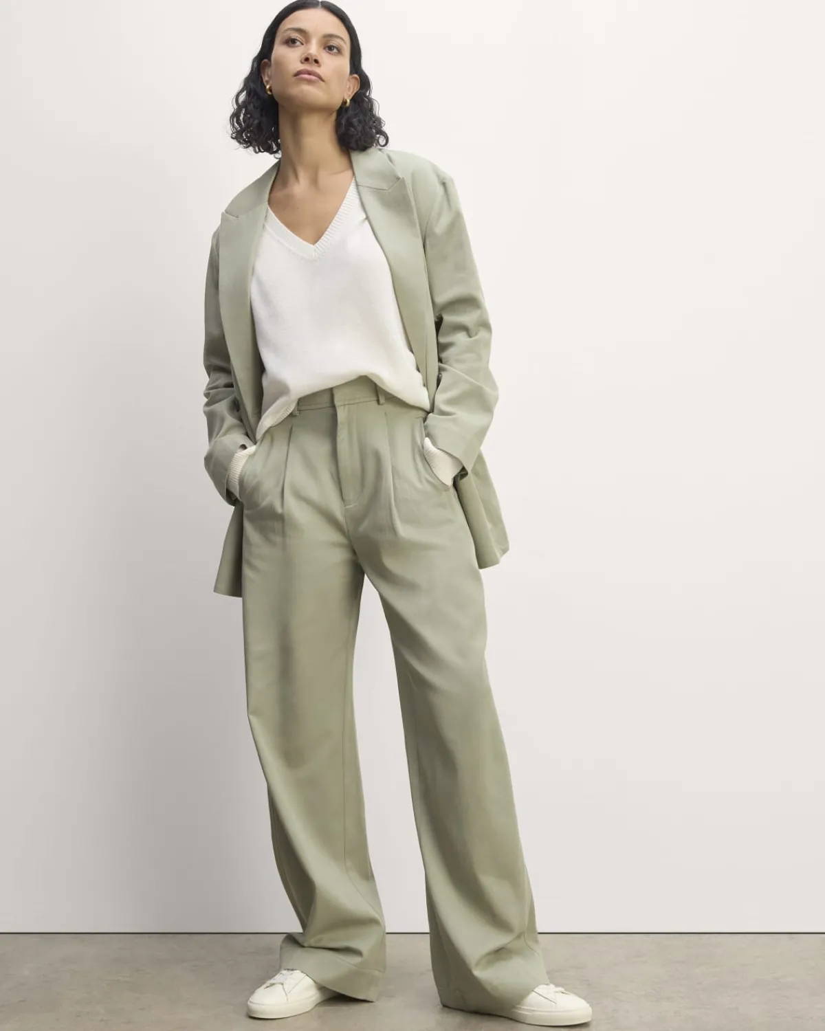 Everlane Pants|Wide-Leg Pants*The Draper Pleated Pant in Buttersmooth
