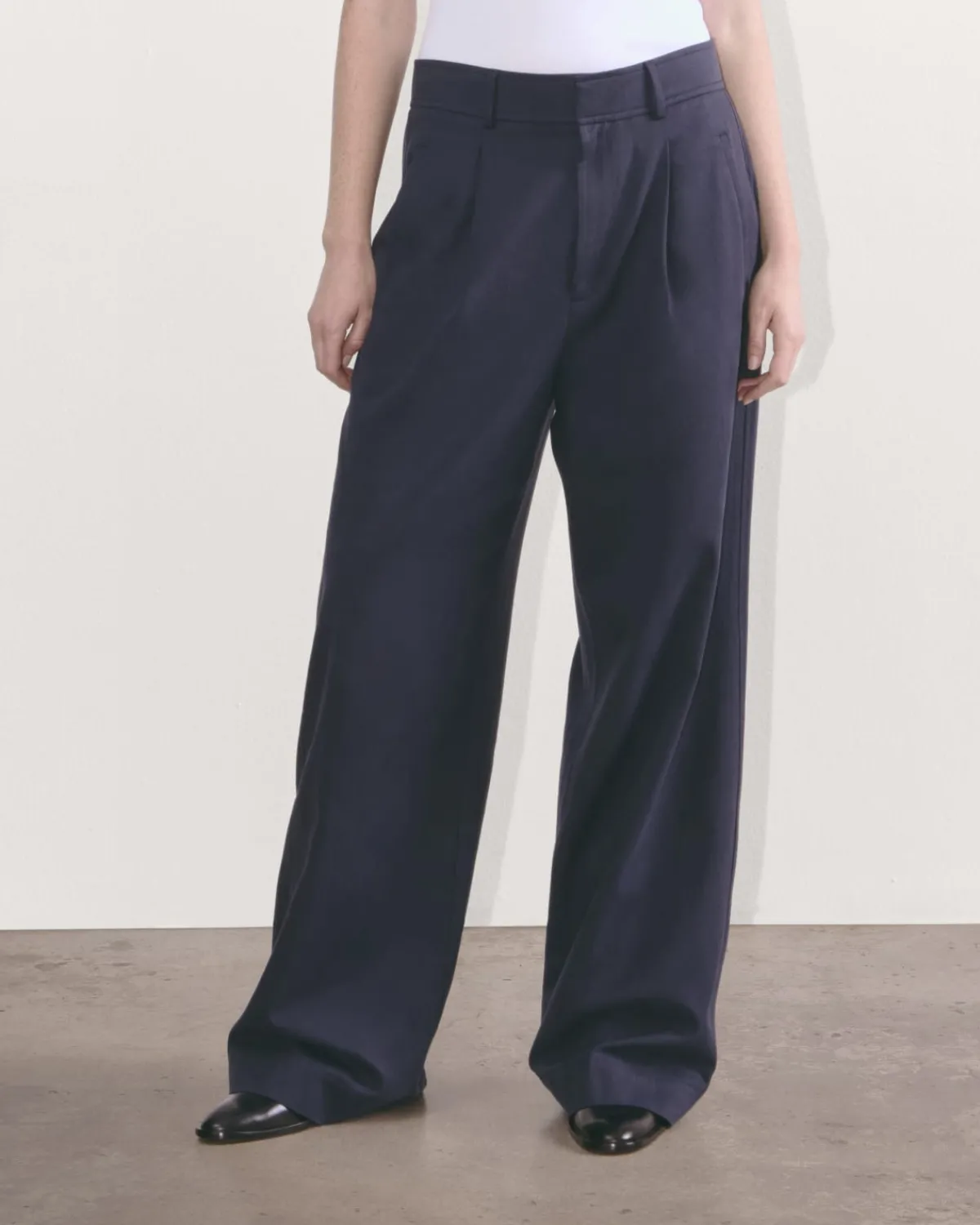 Everlane Pants|Wide-Leg Pants*The Draper Pleated Pant in Buttersmooth