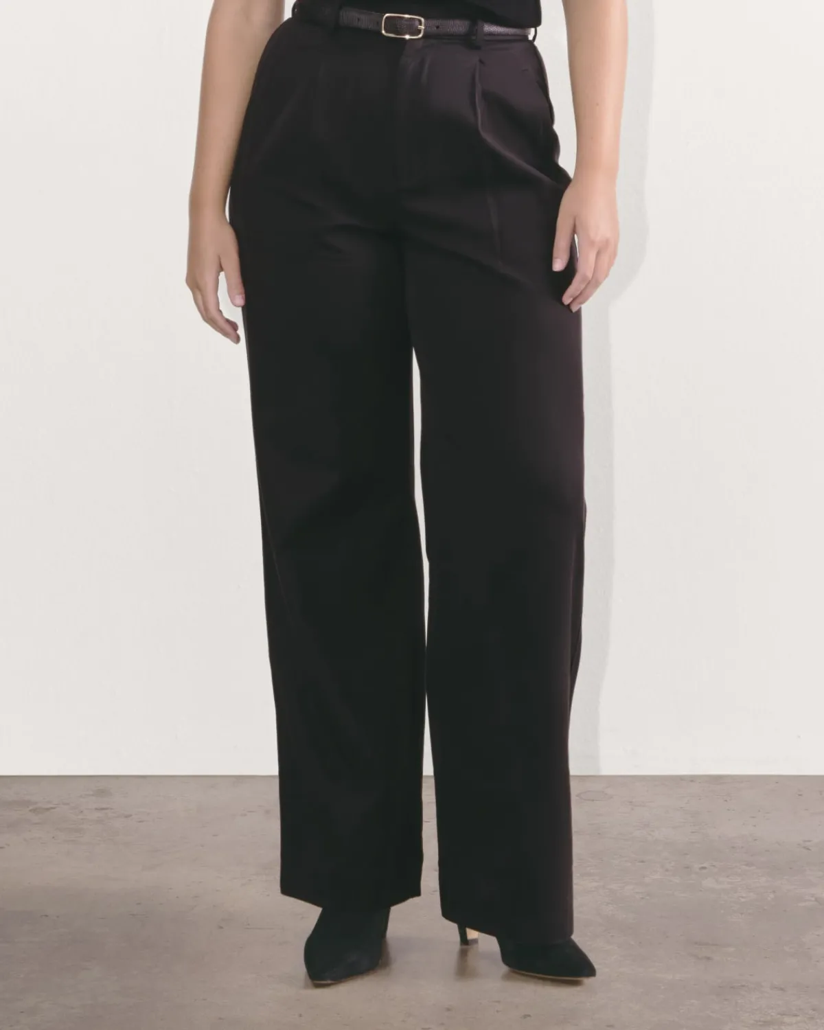 Everlane Pants|Wide-Leg Pants*The Draper Pleated Pant in Buttersmooth