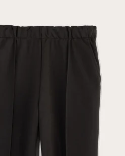 Everlane Pants|Tapered Pants*The Dream Pant®