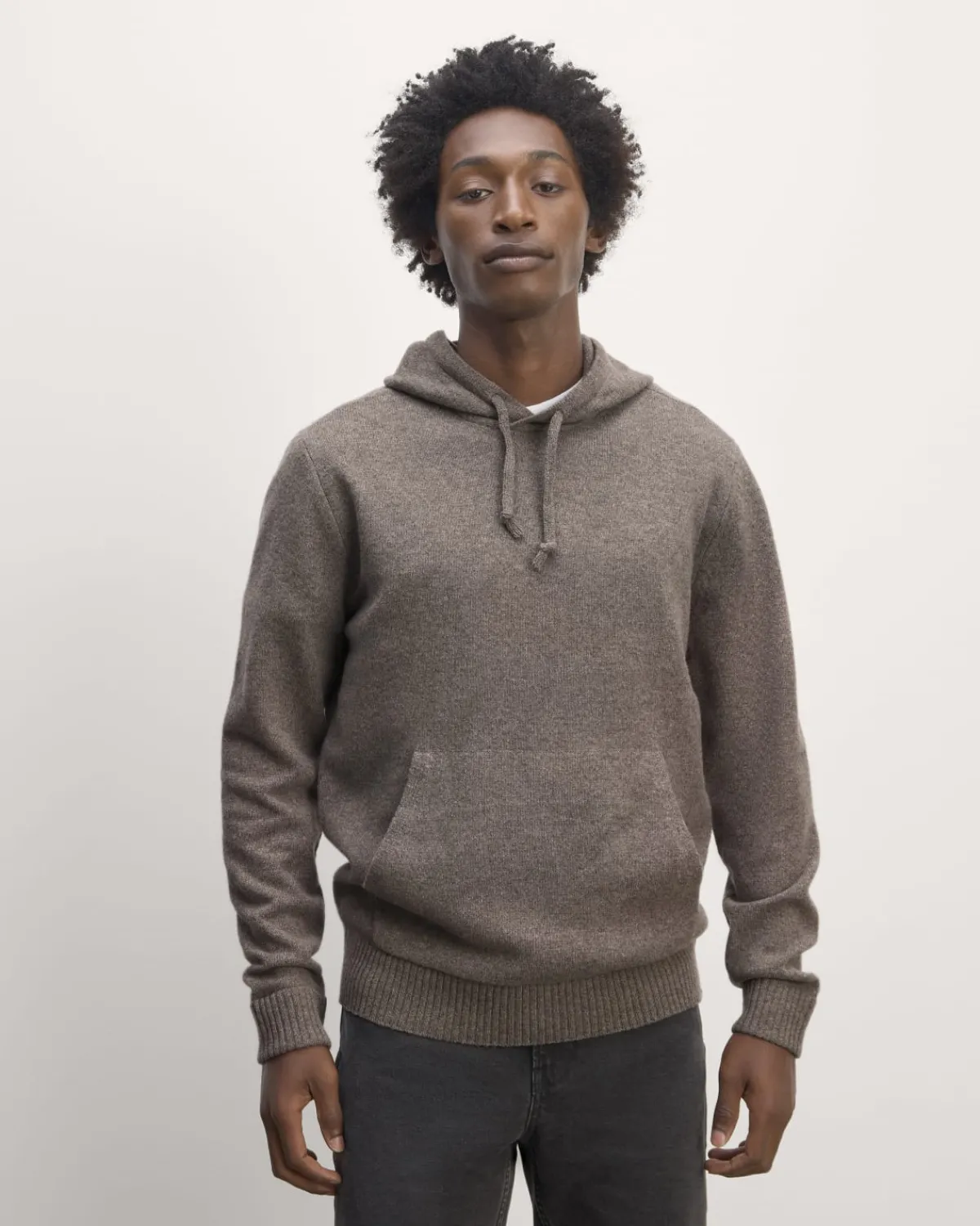 Everlane Sweaters|Turtleneck Sweaters*The Felted Merino Hoodie