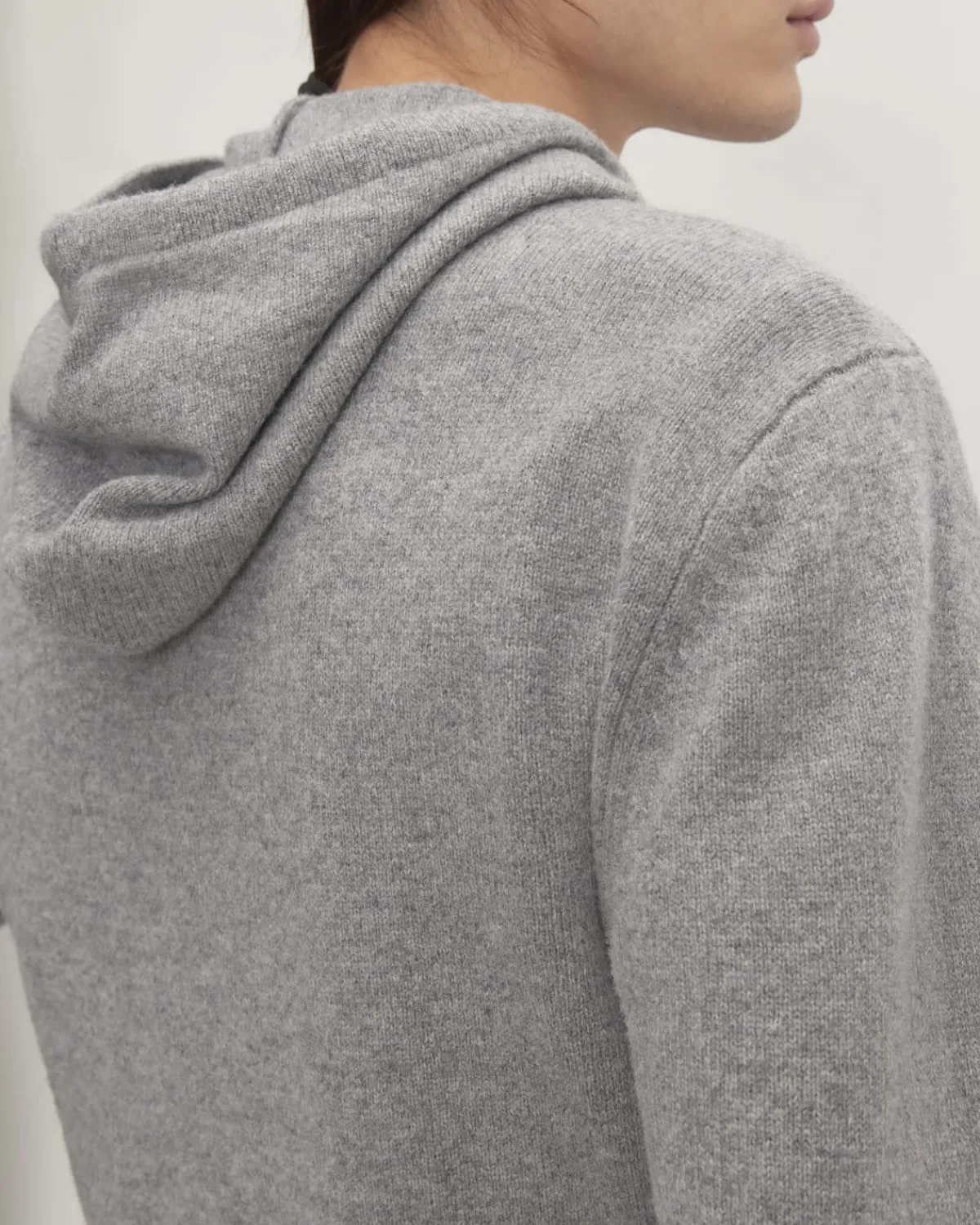 Everlane Sweaters|Turtleneck Sweaters*The Felted Merino Hoodie