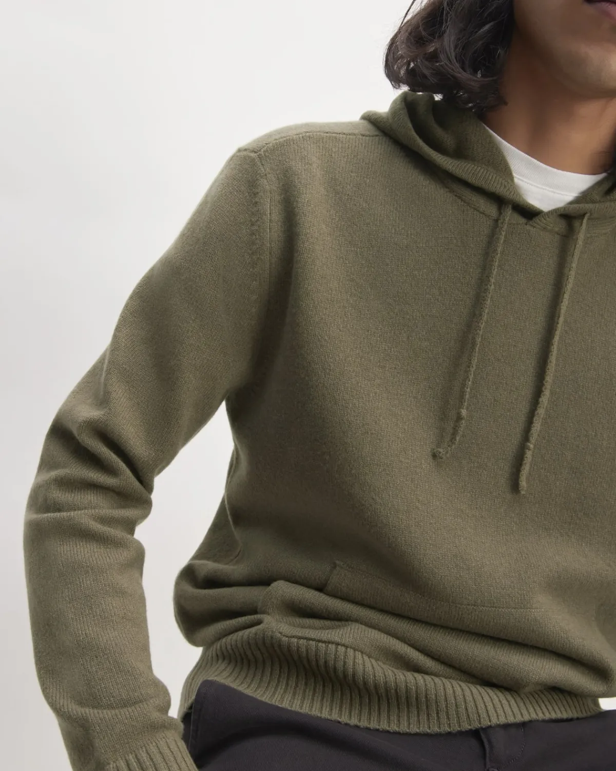 Everlane Sweaters|Turtleneck Sweaters*The Felted Merino Hoodie