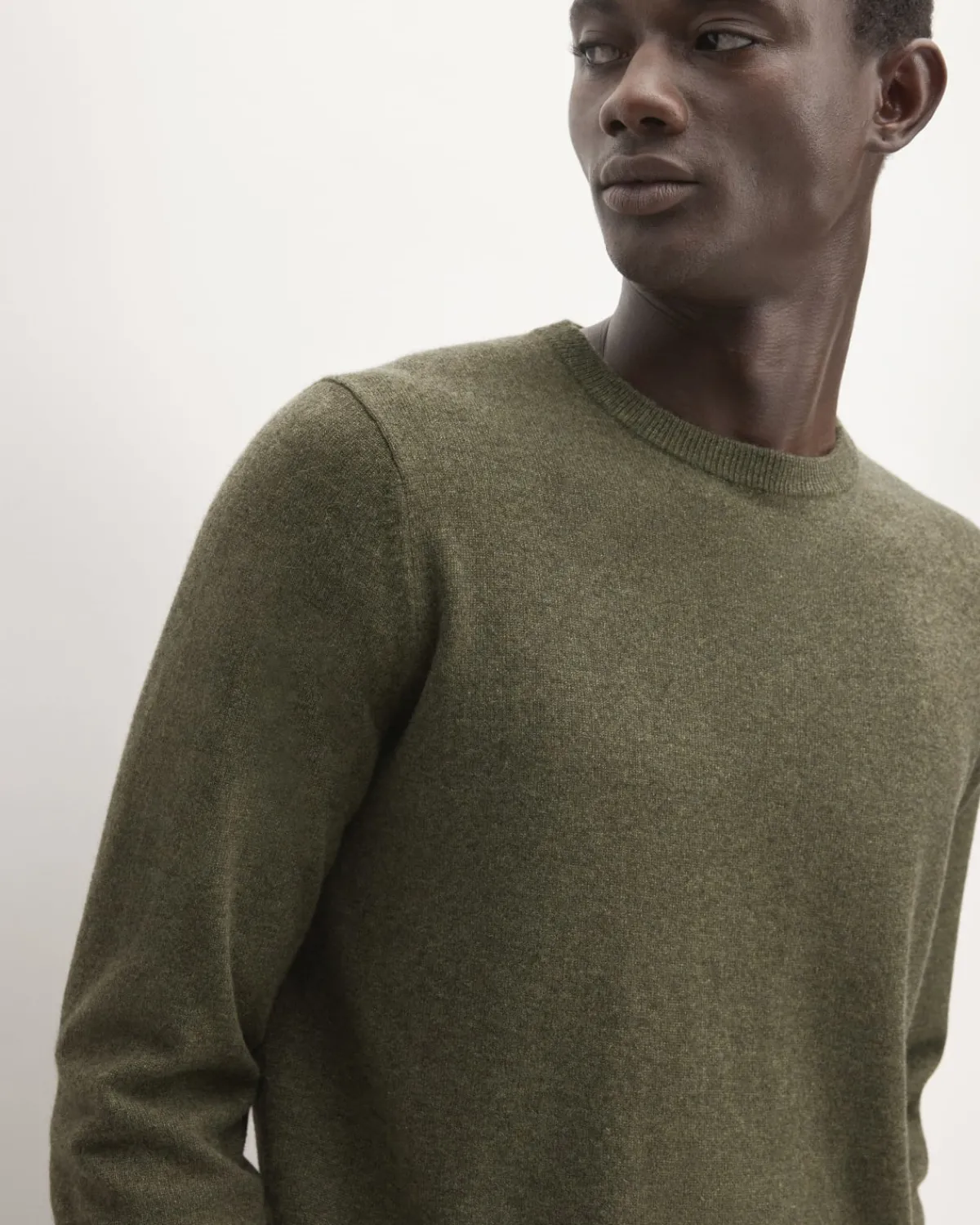 Everlane Sweaters|Turtleneck Sweaters*The Grade-A Cashmere Crew Heather Scarab Green