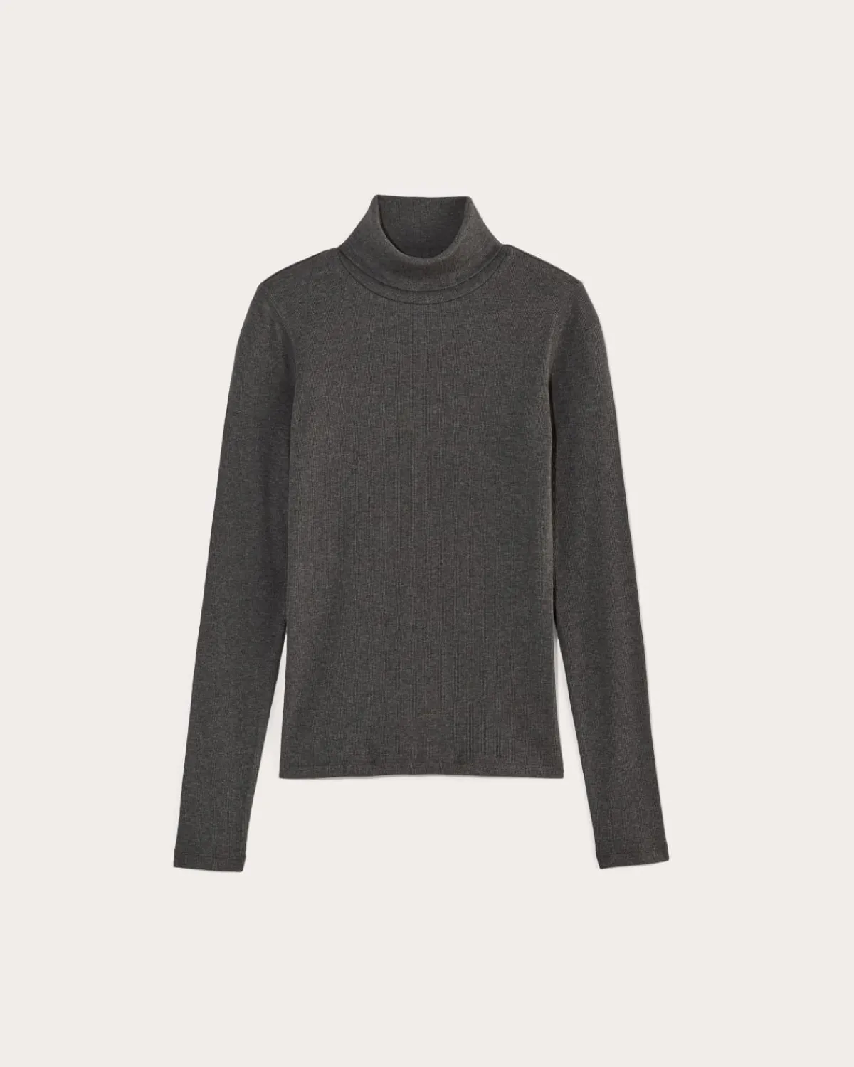 Everlane Tops|Tees*The Luxe Rib Turtleneck