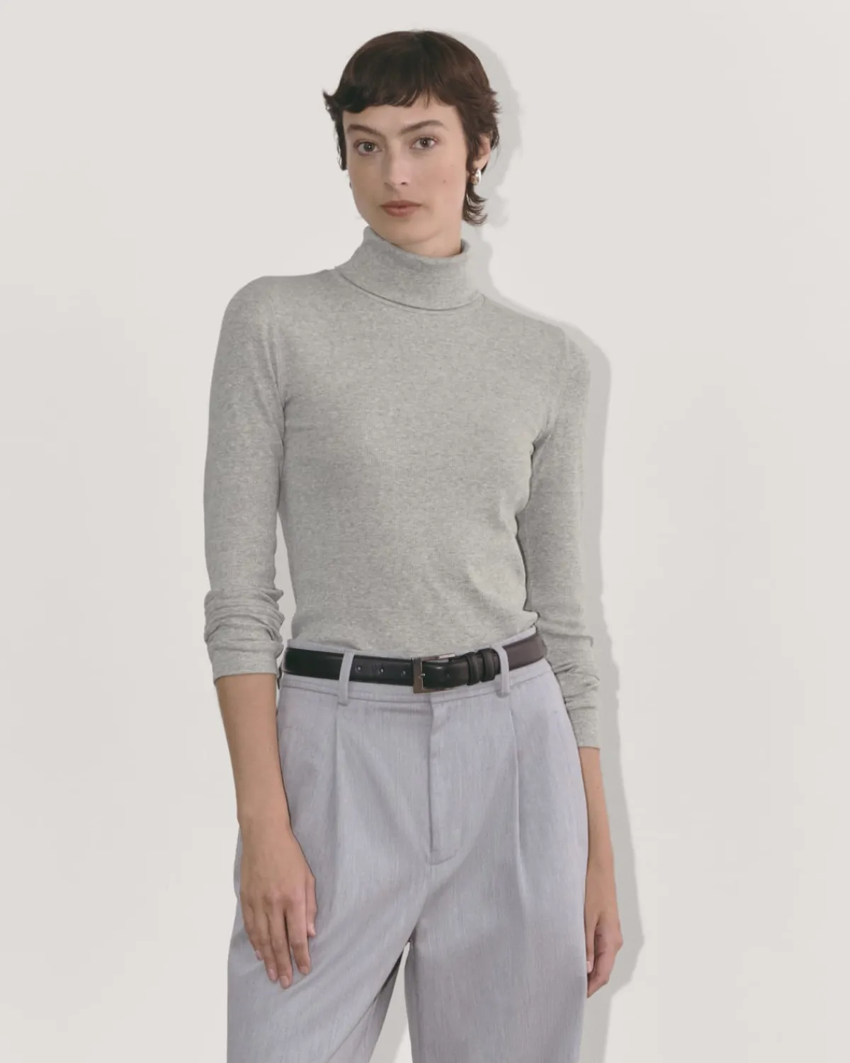 Everlane Tops|Tees*The Luxe Rib Turtleneck