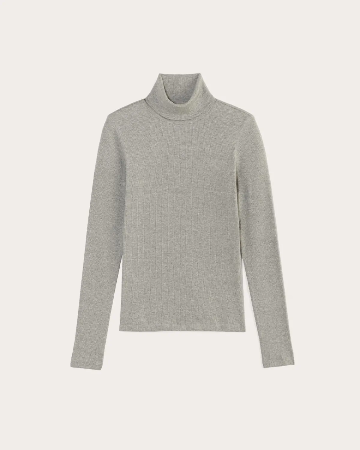 Everlane Tops|Tees*The Luxe Rib Turtleneck