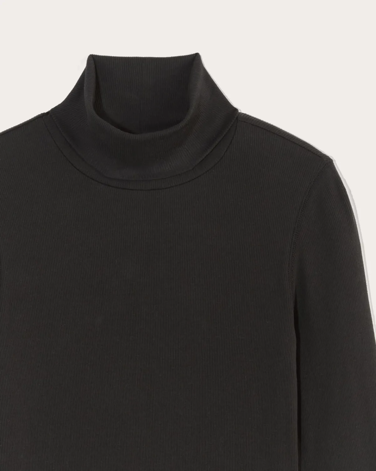 Everlane Tops|Tees*The Luxe Rib Turtleneck