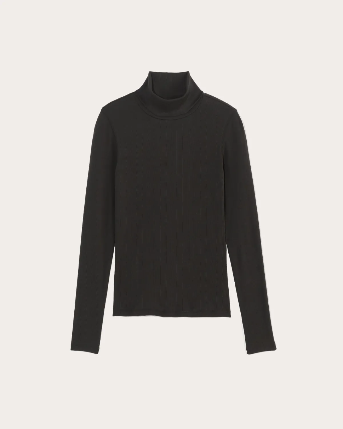 Everlane Tops|Tees*The Luxe Rib Turtleneck