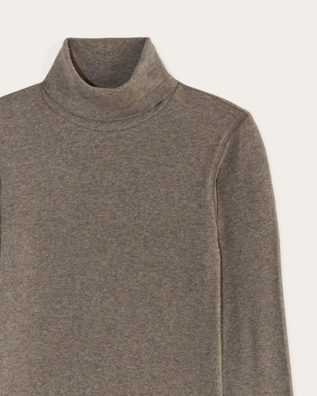 Everlane Tops|Tees*The Luxe Rib Turtleneck