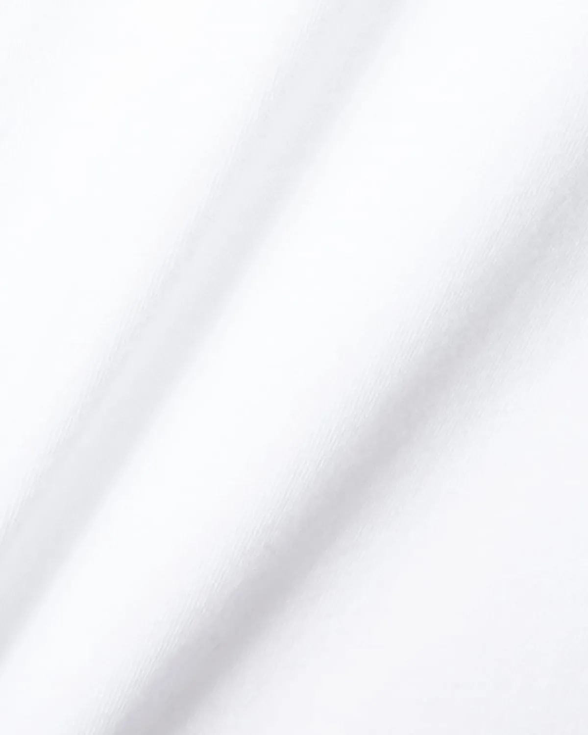 Everlane Tees|Long Sleeve Tees*The Organic Cotton Turtleneck White