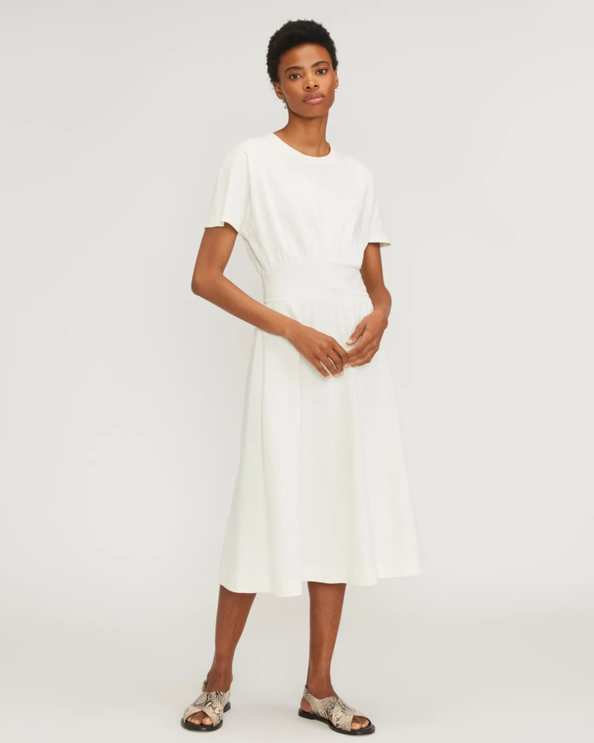 Everlane Dresses*The Organic Cotton Waisted Dress