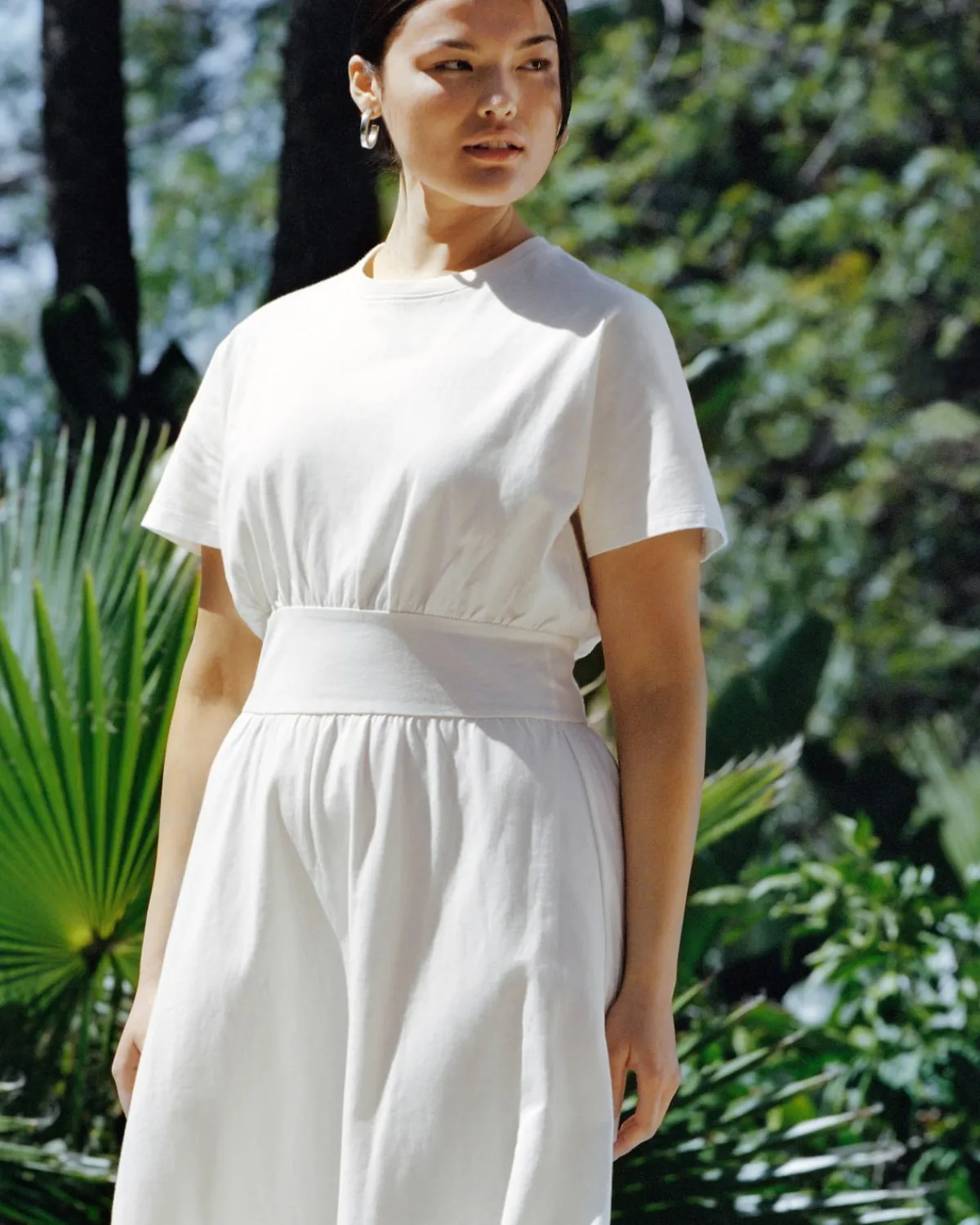 Everlane Dresses*The Organic Cotton Waisted Dress