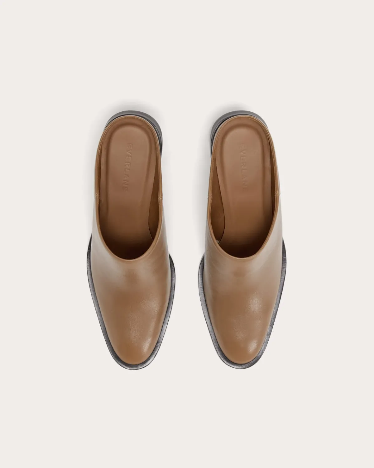 Everlane Shoes|Heels*The Outlaw Mule
