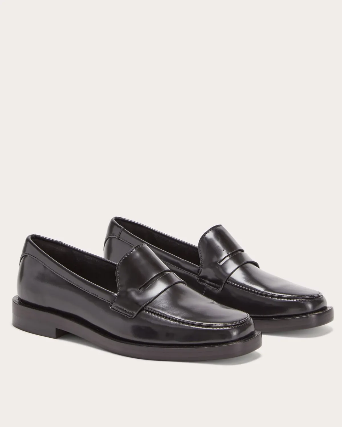 Everlane Shoes|Sneakers*The Penny Loafer Canvas