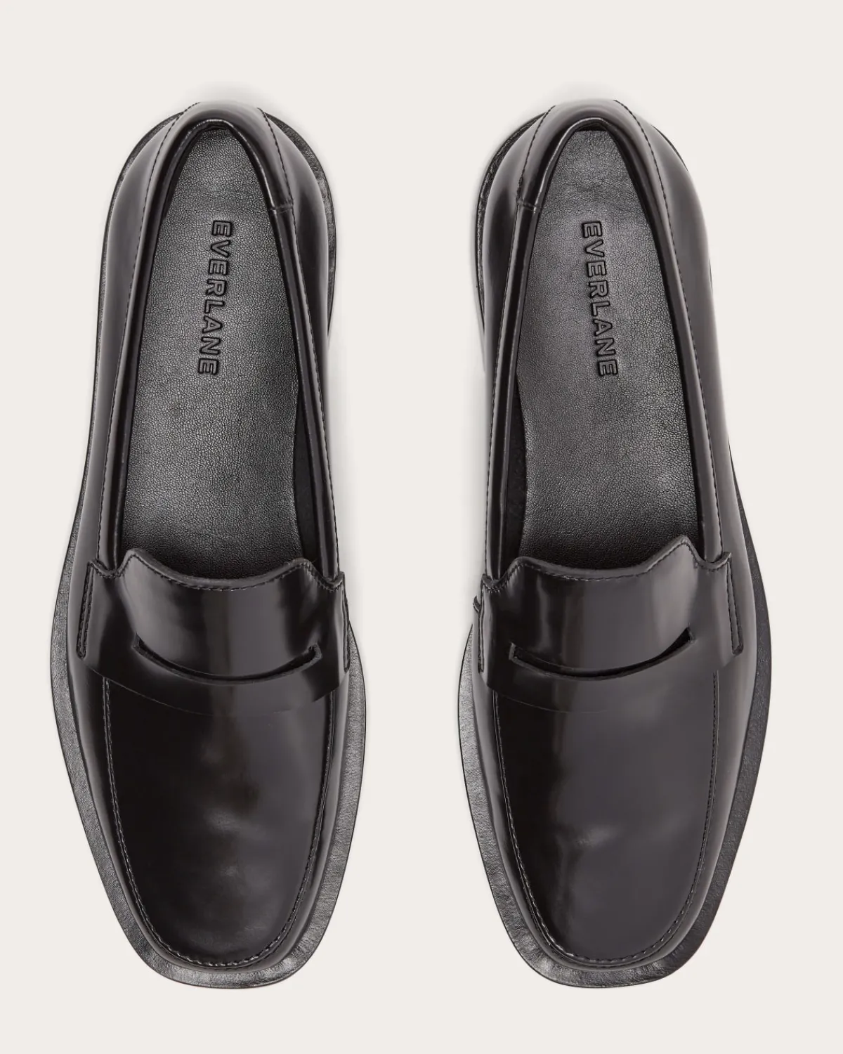 Everlane Shoes|Sneakers*The Penny Loafer Canvas