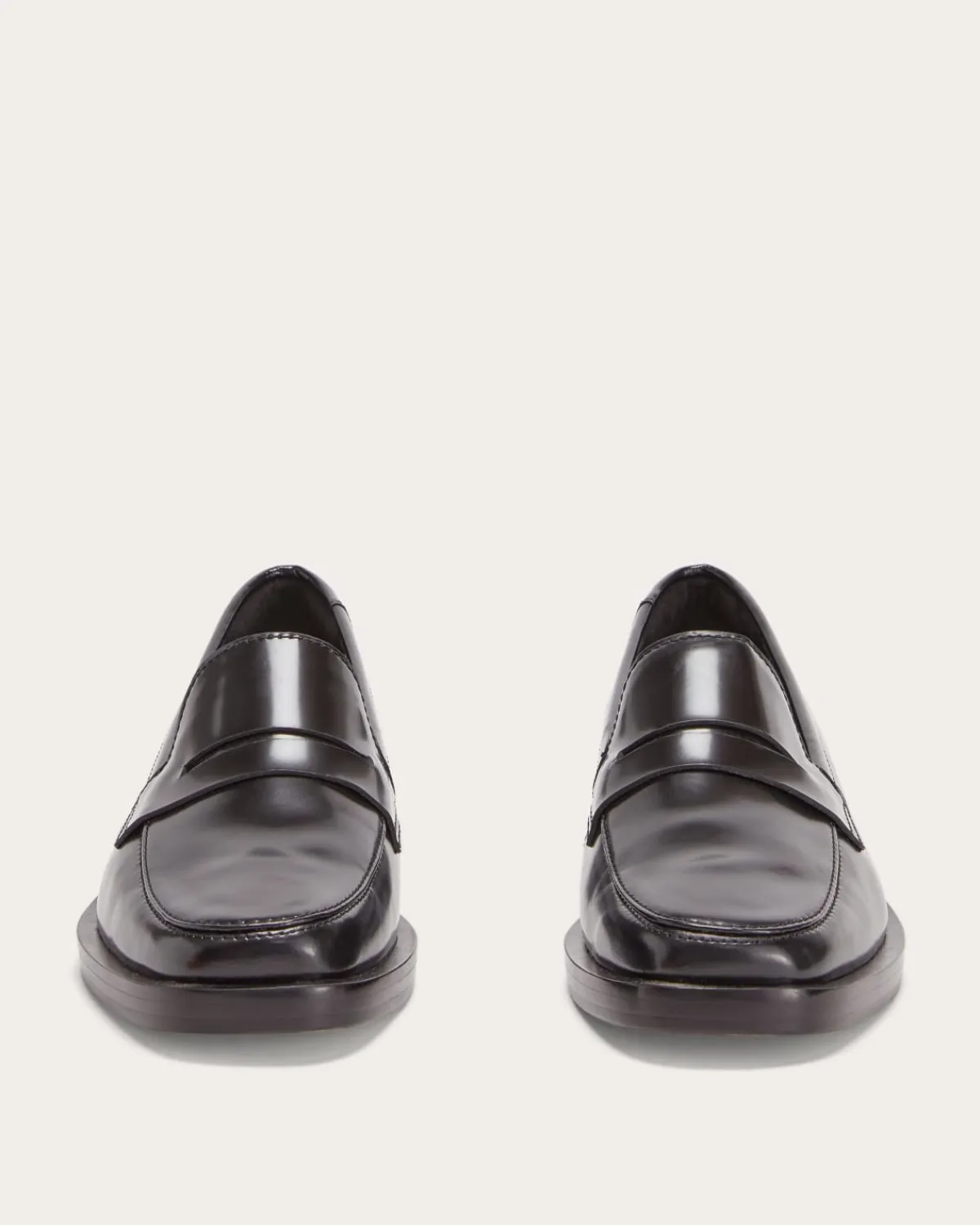 Everlane Shoes|Sneakers*The Penny Loafer Canvas