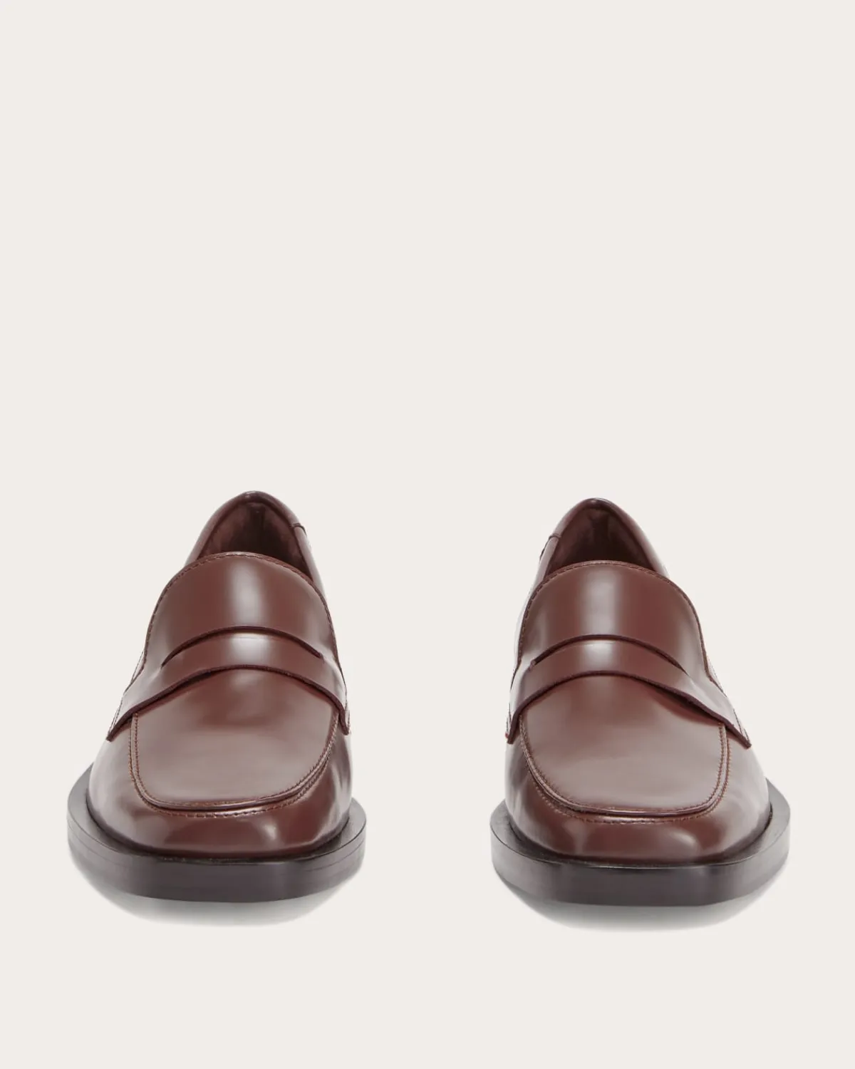Everlane Shoes|Sneakers*The Penny Loafer Canvas
