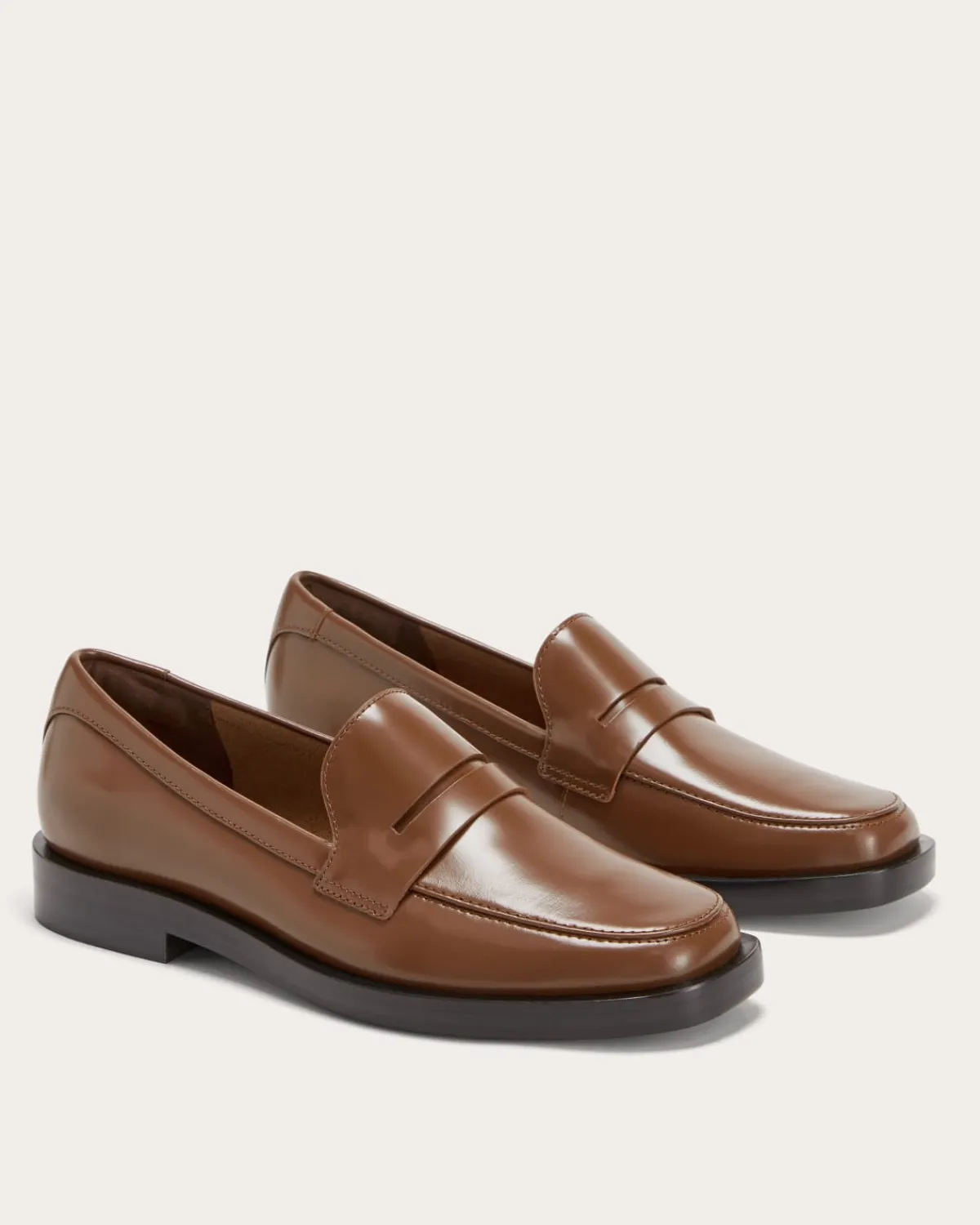 Everlane Shoes|Sneakers*The Penny Loafer Canvas