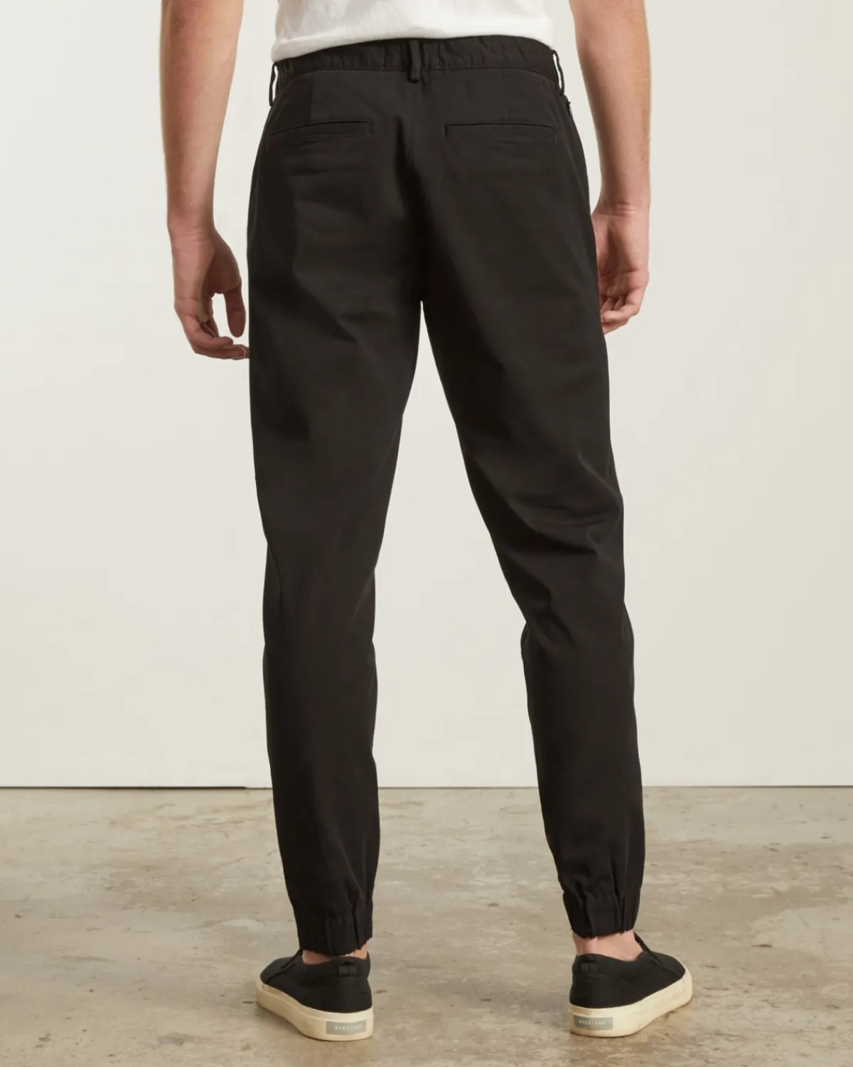 Everlane Pants|Chinos*The Performance Traveler Chino
