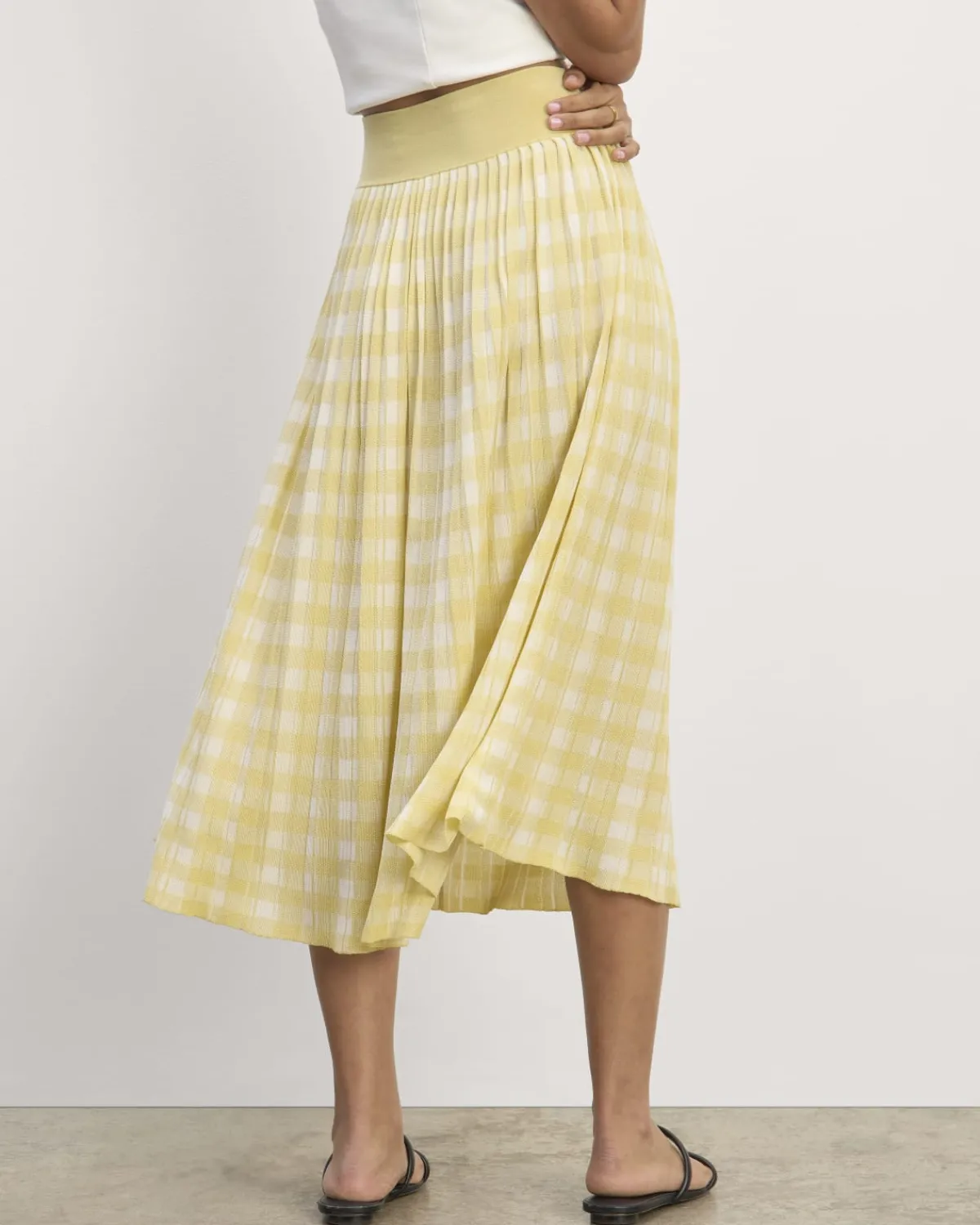 Everlane Shorts & Skirts*The Pleated Skirt