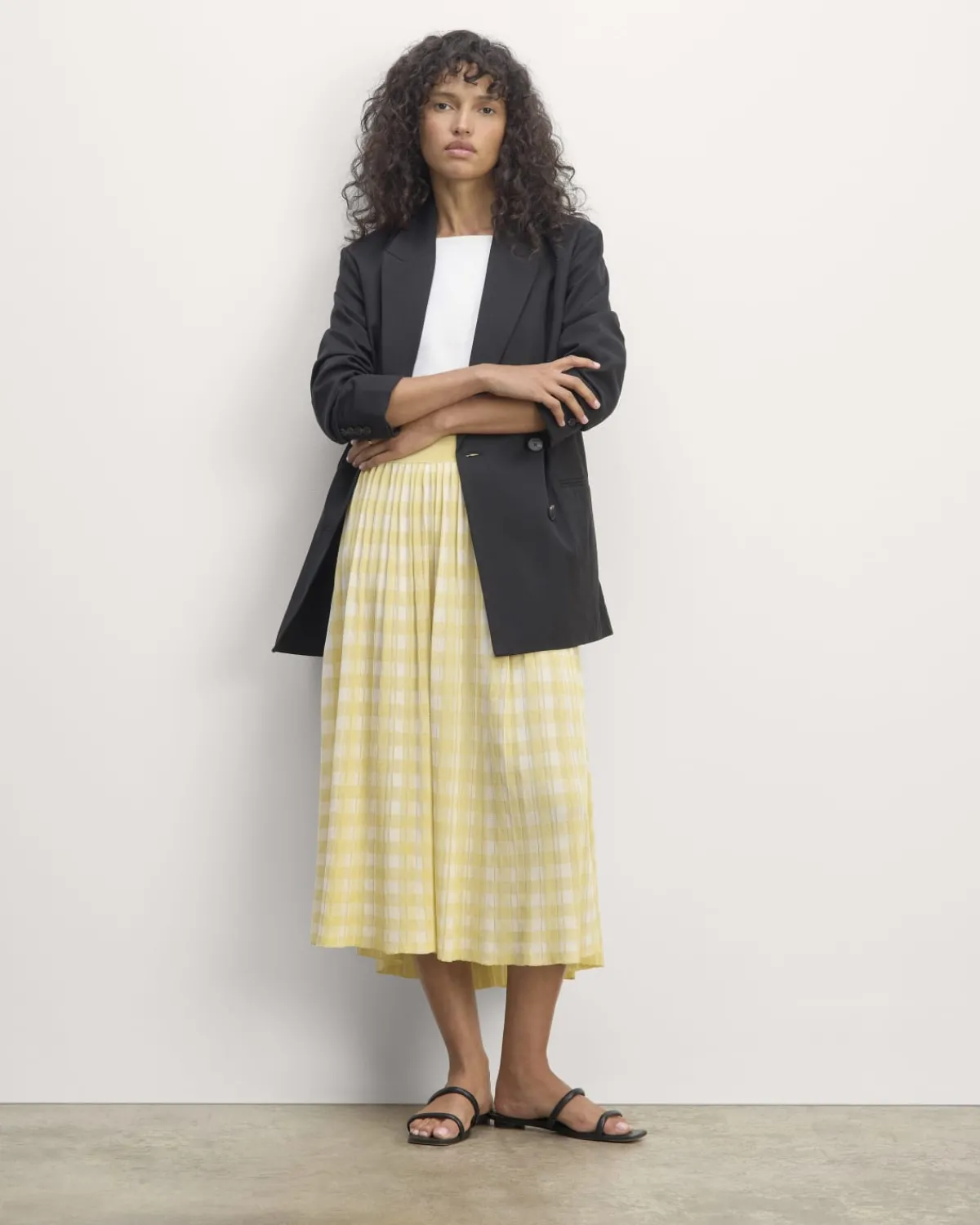 Everlane Shorts & Skirts*The Pleated Skirt