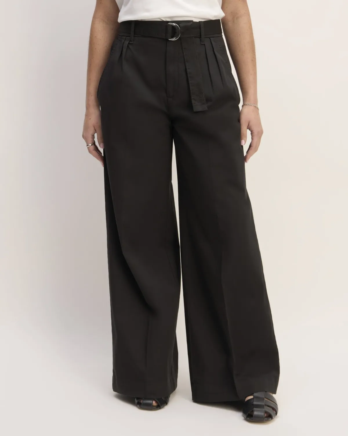 Everlane Pants|Wide-Leg Pants*The Pleated Wide-Leg Chino