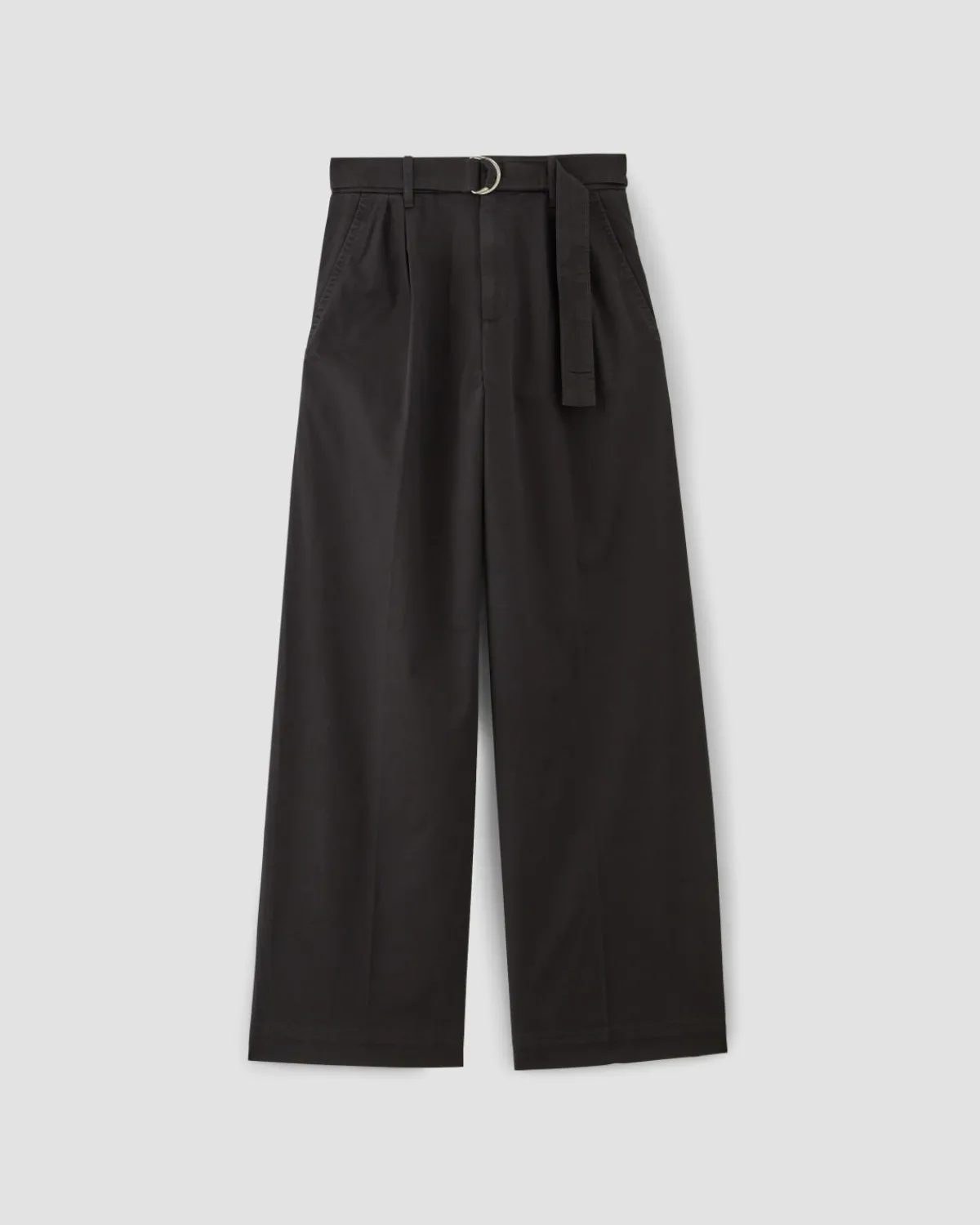 Everlane Pants|Wide-Leg Pants*The Pleated Wide-Leg Chino